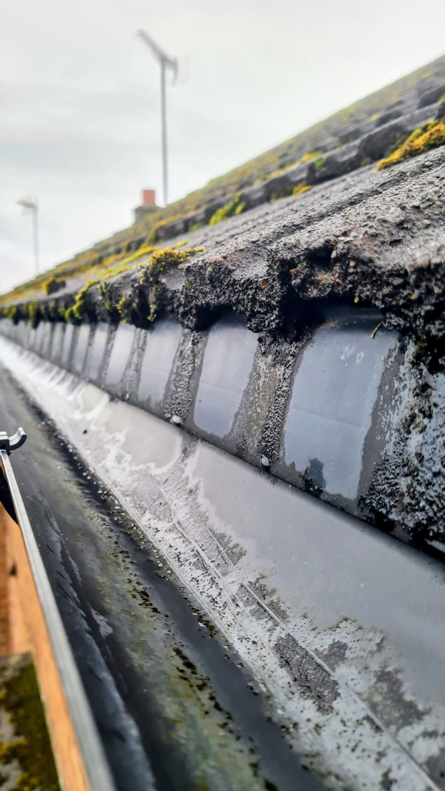 Gutter cleaning East Cheshire — clearing moss and debris from gutters and downpipes